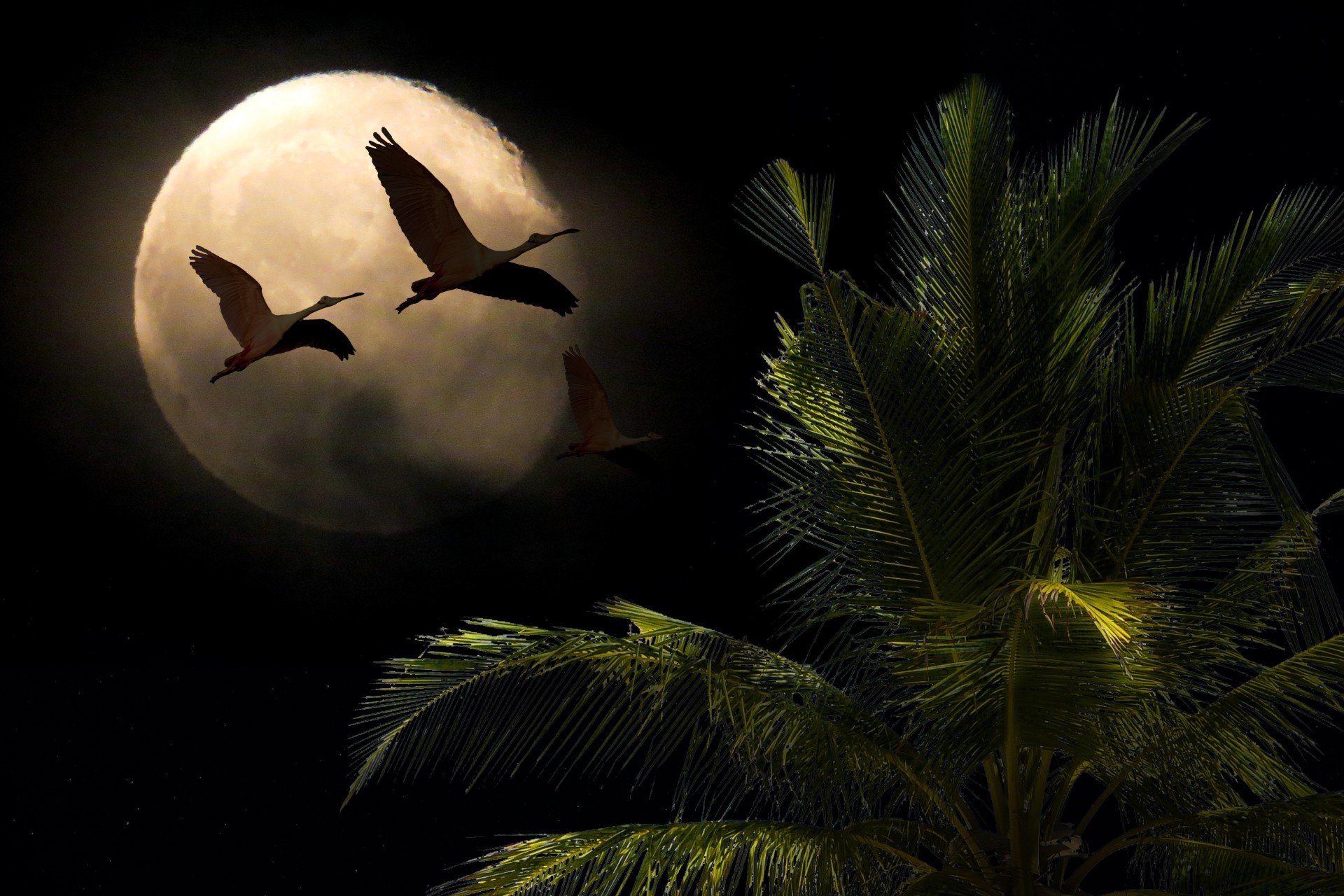 Pleine Lune des Moissons